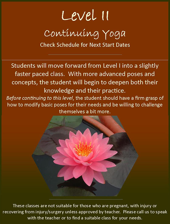 Level II Continuing Yoga